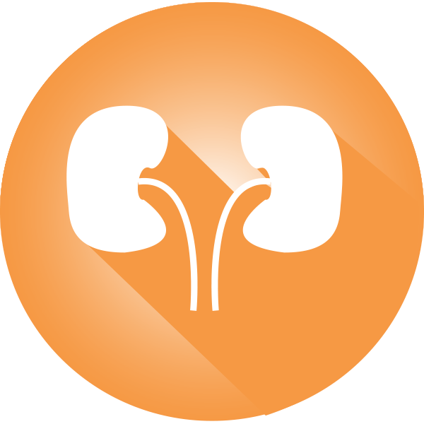 Renal Dialysis Icon